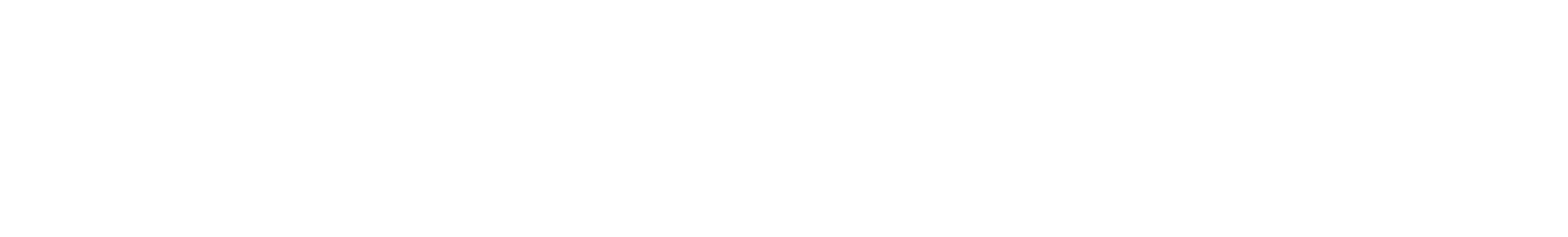 white global payments logo